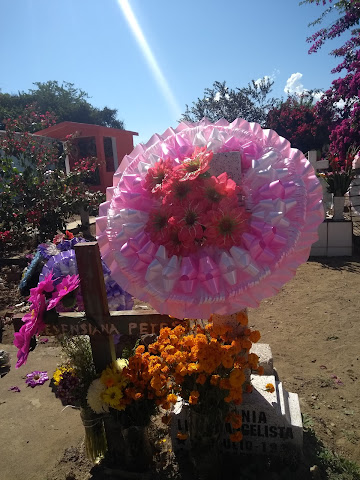 San José Del Carmen (Zapotitlán de Vadillo )