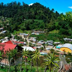 Bejucal De Ocampo (Bejucal de Ocampo )