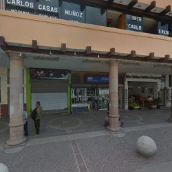 Carlos Casas Muñoz (Irapuato )