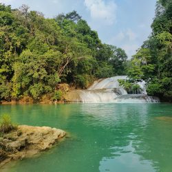 Cascadas Roberto Barrios (Palenque )