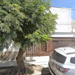 Despacho Licenciado José Antonio Junquera Pons (León )