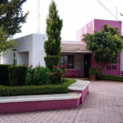 Dif Municipio De Temascalapa (Temascalapa )