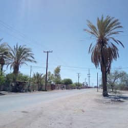 Ejido Dr Alberto Oviedo Mota (Mexicali )
