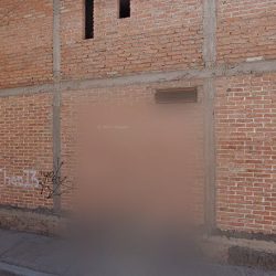 Ejido La Guayana (San Francisco de los Romo )