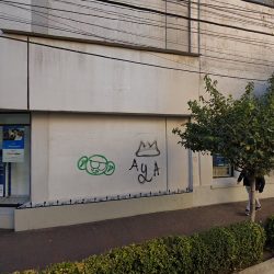 Ericksantin (Toluca )