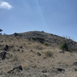 Ex Hacienda De Xalpa (Huehuetoca )