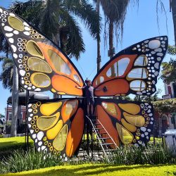 Flores Quezada Ramiro Licenciado (Mazatlán )