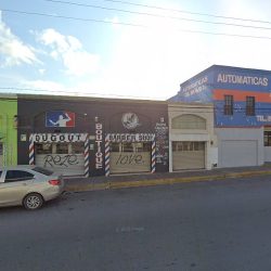 Garza Treviño Francisco Licenciado (Reynosa )