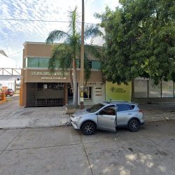 Gaxiola Beltrán Francisco Javier (Culiacán )