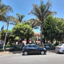 Honorable Ayuntamiento De Papalotla De Xicohténcatl (Papalotla de Xicohténcatl )