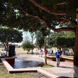 Jardin Principal De Cañones (Tarimoro )