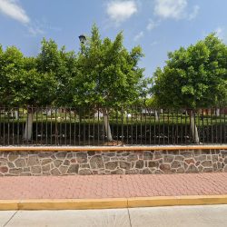 Jardín Principal De San Isidro De Gamboa (Apaseo el Alto )