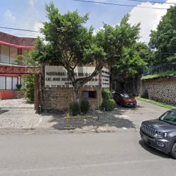 José Antonio Acosta Pérez (Cuernavaca )