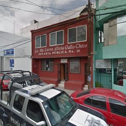 Lic. Ma. Luisa Alicia Gallo Chico Notaria Pública No. 14 (Silao de la Victoria )