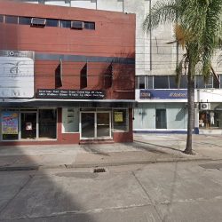 Licenciada Chico Sánchez Martha (Irapuato )