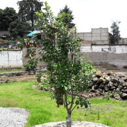 Mezapa La Fabrica, Xalatlaco (Xalatlaco )