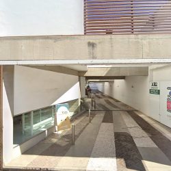 Notaría 101 Estado De México (Jilotepec )