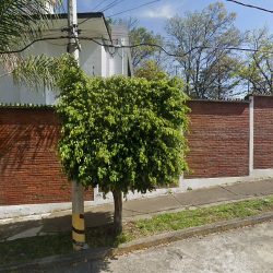 Notaria 143 (Huixquilucan )