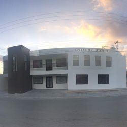 Notaria 296 Tamaulipas (Reynosa )
