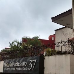 Notaria 37 Xalapa (Xalapa )