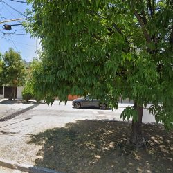 NotarÍa 44 Dra. Cinthya Maria Elena Andrade Sandoval (Aguascalientes )