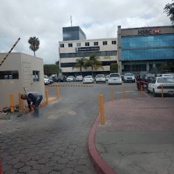 Notaria #5 (Tijuana )