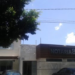Notaria 82 (León )
