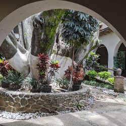Notaria Dos (Cuernavaca )