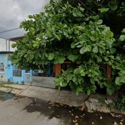 Notaria Numero 70 (Tapachula )