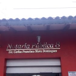 Notaria Número 8 (Coatepec )