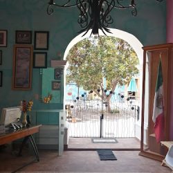 NotarÍa PÚblica #1 (Dolores Hidalgo )