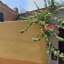 Notaria Pública 10 (San Miguel de Allende )