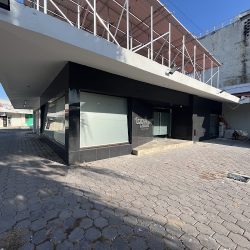 Notaria Publica 113 (Tampico )