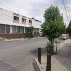 Notaría Pública 129 (Saltillo )