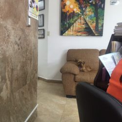 Notaría Pública 16 (Monclova )