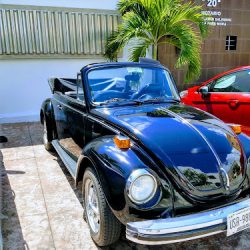 Notaria Publica #20 (Cancún )