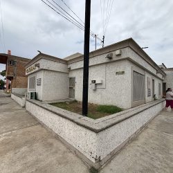 Notaría Pública 24 (Juárez )