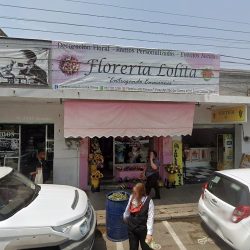 Notaría Pública 255 (Tampico )