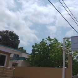 Notaría Publica 271 (Tampico )