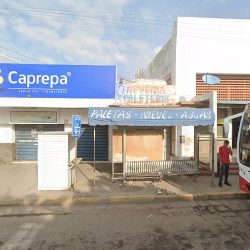 Notaria Pública 286 (Navolato )