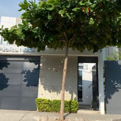Notaría Pública 5 (Tecomán )