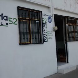 Notaría Pública 52 (Irapuato )