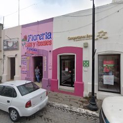Notaría Pública 56 (Linares )