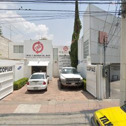 Notaría Pública 6