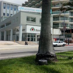 Notaria Publica 8 Acapulco, Guerrero (Acapulco de Juárez )