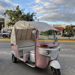 Notaria Publica 81 Tulum (Tulum )