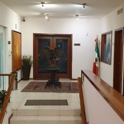 Notaría Pública 89 Nl (Monterrey )