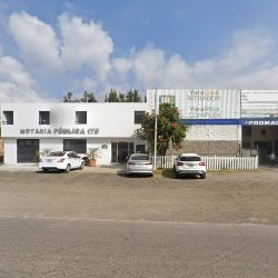 Notaria Publica (Charo )
