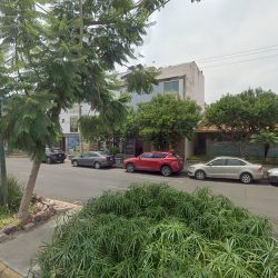 Notaria Pública N° 31 (Irapuato )