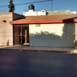 Notaría Pública N° 46 (Saltillo )